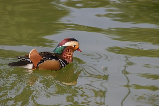 无主之地2隐藏任务还没清完一位潘多拉路线编辑把高价值支线一次讲透