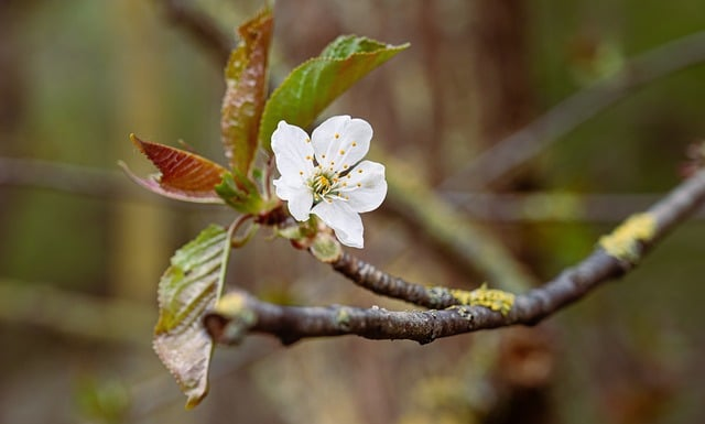 很多人卡在这一步隐藏的敌人任务怎么做，看完少走弯路