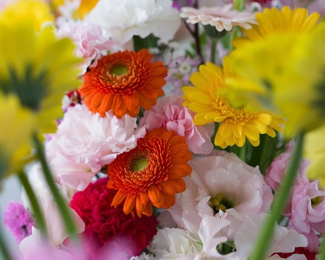 pvp对战游戏怎么选不踩坑-从匹配机制到氪金公平一次讲透