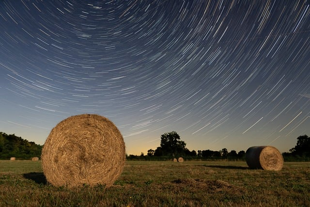 梦幻手游69女儿村攻略：2026版本怎么配装、加点、打架清任务都顺手